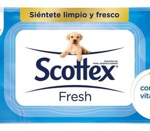 Scottex Húmedo 74u